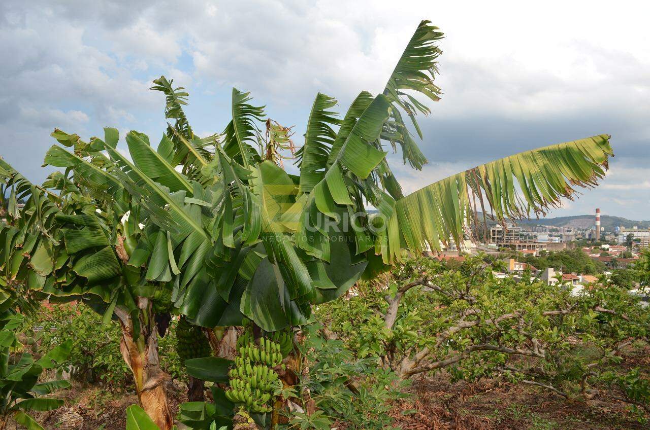 Chácara à venda no VILA FAUSTINA II em Valinhos/SP: 