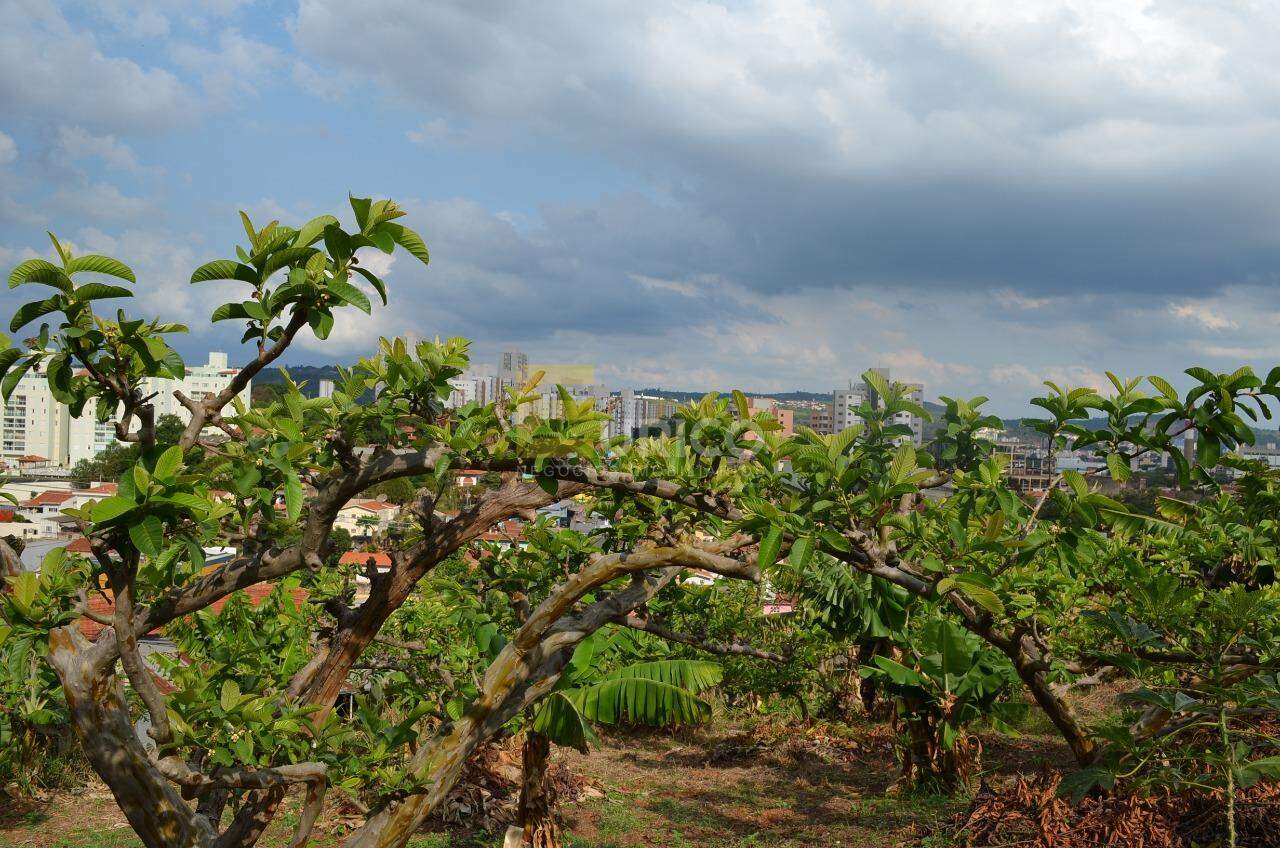 Chácara à venda no VILA FAUSTINA II em Valinhos/SP: 