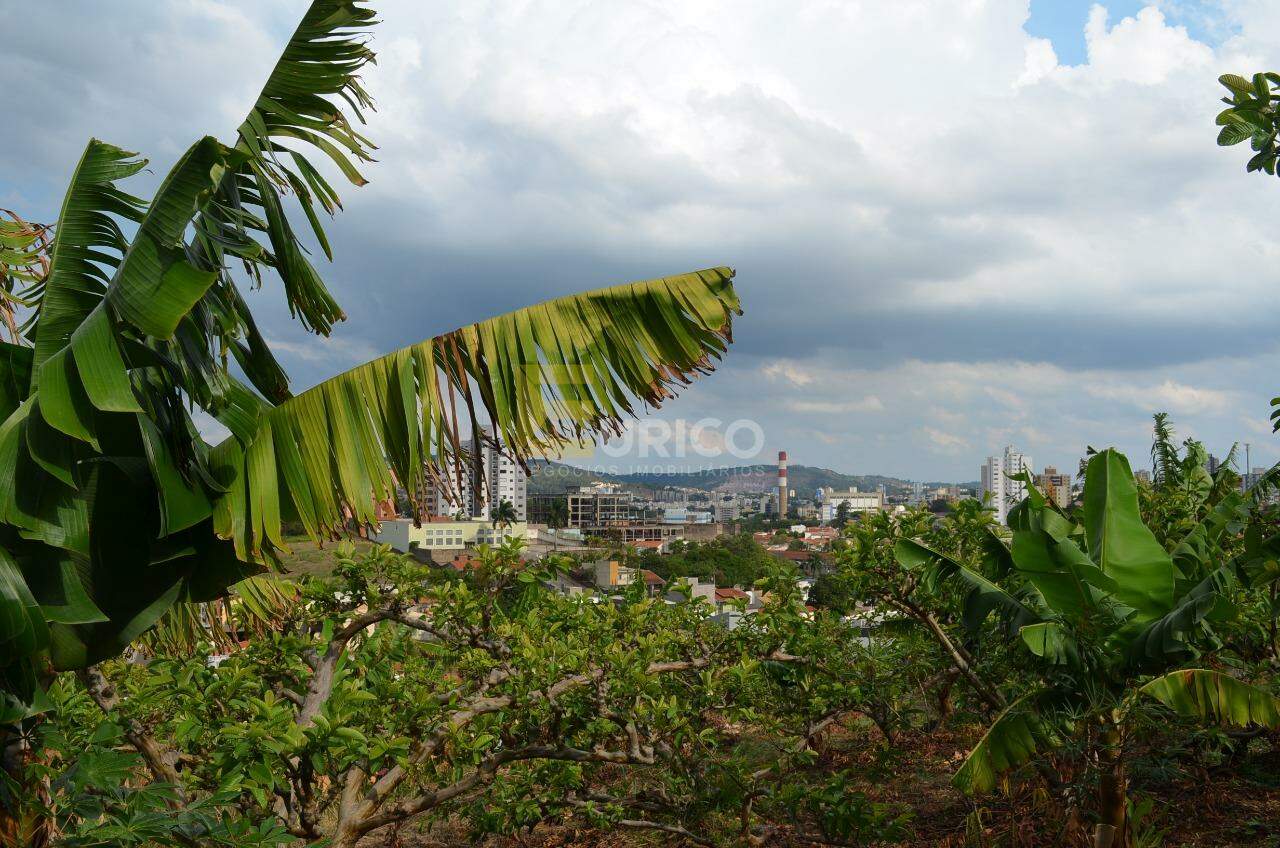 Chácara à venda no VILA FAUSTINA II em Valinhos/SP: 