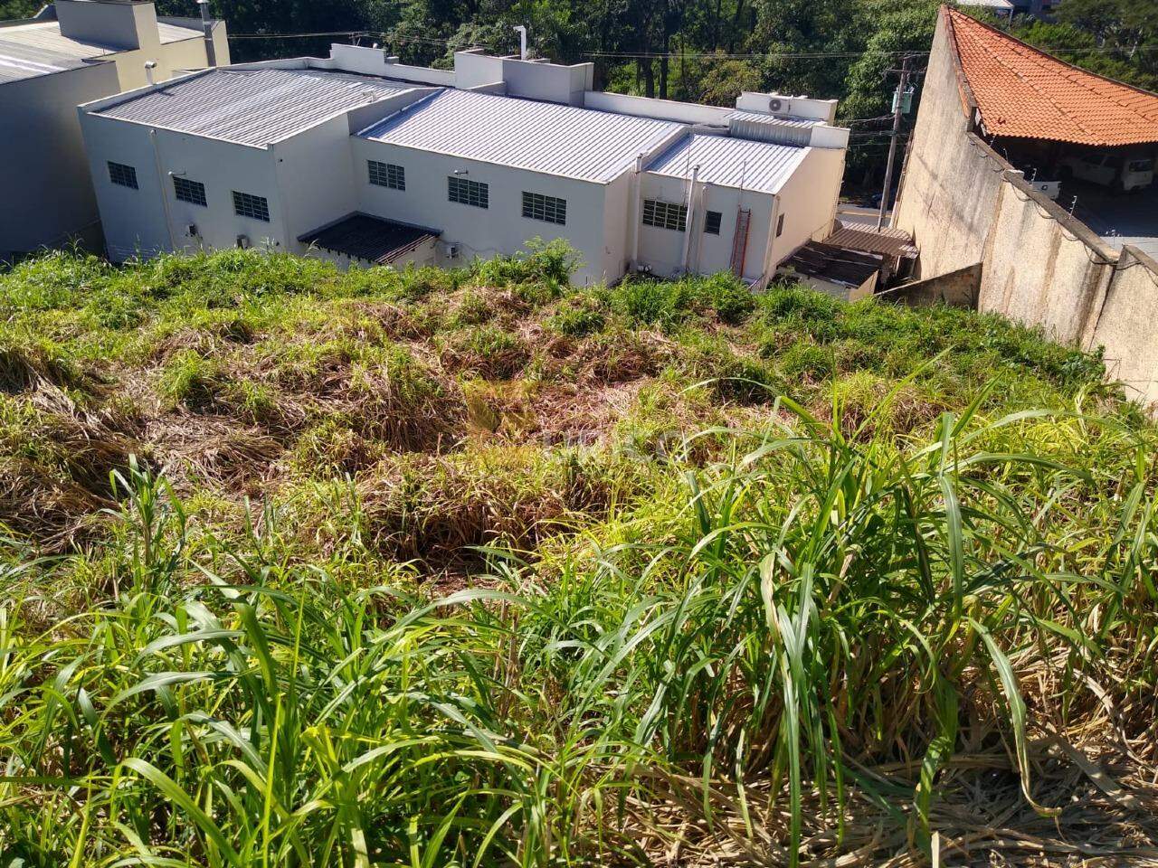 Terreno à venda no JARDIM SÃO FRANCISCO em Valinhos/SP: 