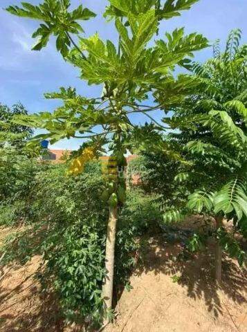 Terreno à venda no Vila do Ipê em Itupeva/SP: 