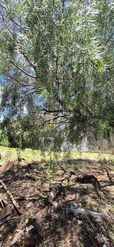 Terreno à venda no JARDIM ALTO DA COLINA em Valinhos/SP: 