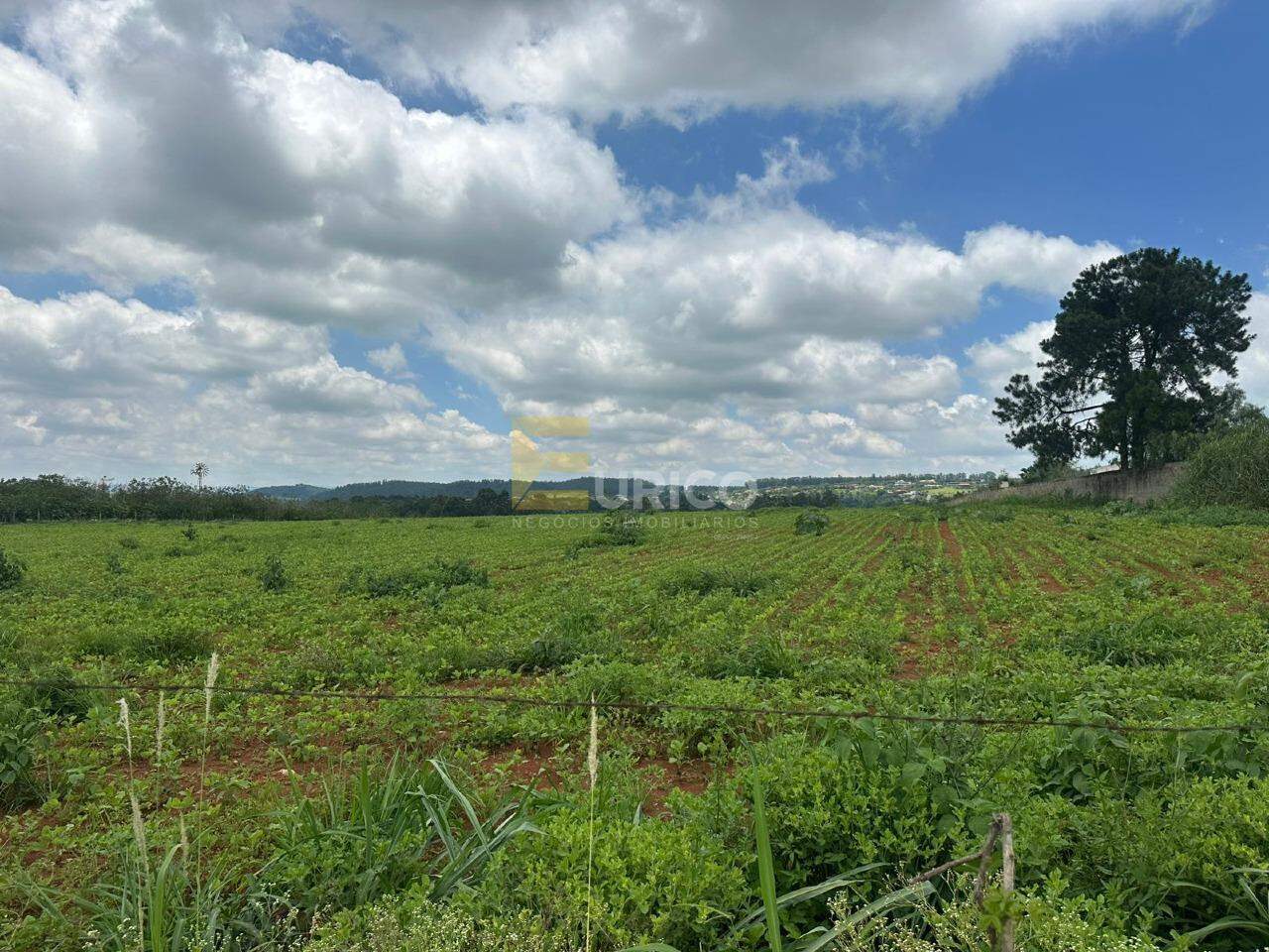 Galpão à venda no Chácara Alvorada em Itupeva/SP: 