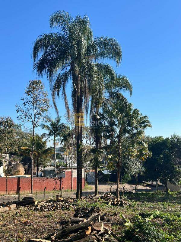 Terreno em Condomínio à venda no Condomínio Associação Cafezal IV em Itupeva/SP: 