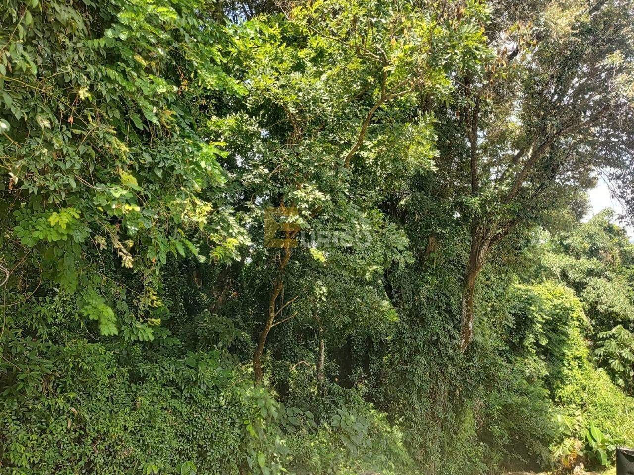 Terreno em Condomínio à venda no Condomínio São Joaquim em Vinhedo/SP: 