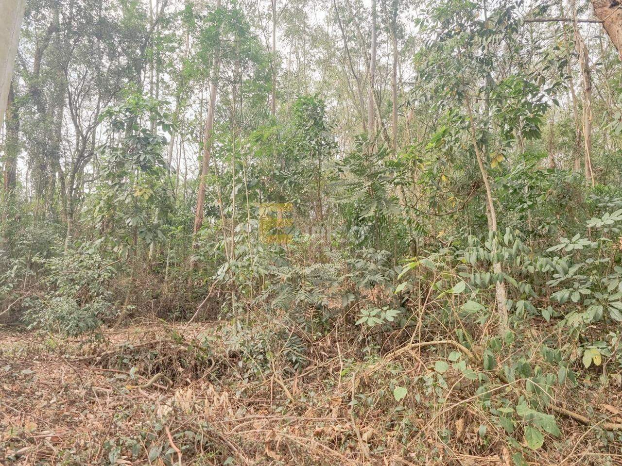 Terreno em Condomínio à venda no Condomínio Vale da Santa Fé em Vinhedo/SP: 