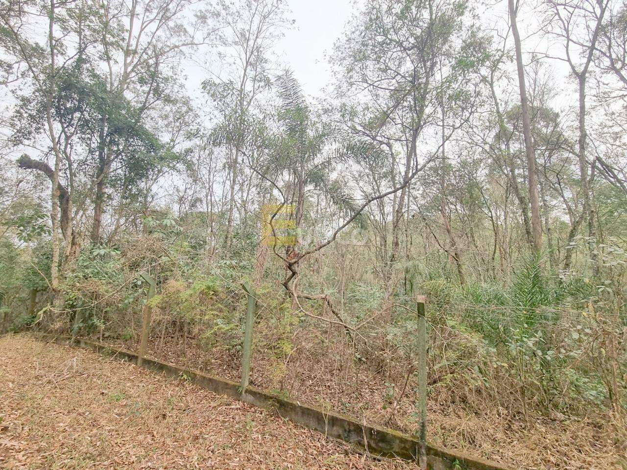 Terreno em Condomínio à venda no Condomínio Vale da Santa Fé em Vinhedo/SP: 