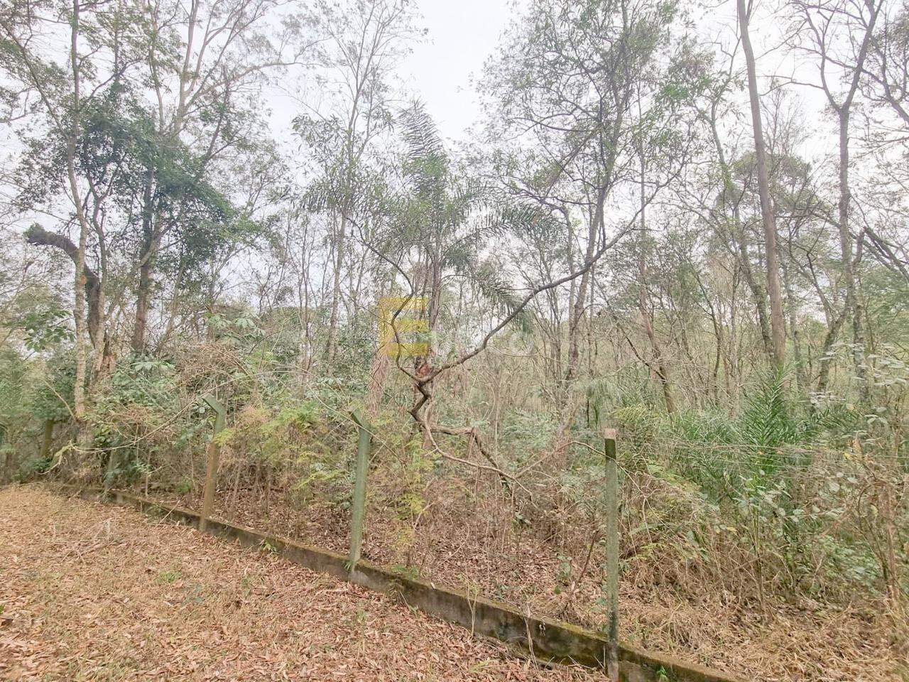 Terreno em Condomínio à venda no Condomínio Vale da Santa Fé em Vinhedo/SP: 
