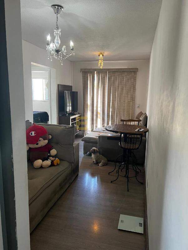 Apartamento à venda no Condomínio Edifício Residencial Vitória em Valinhos/SP: 