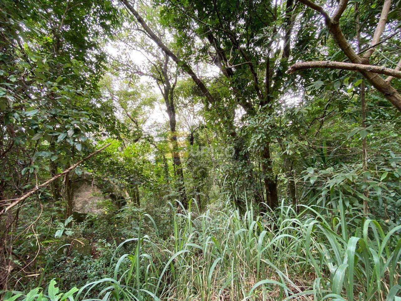Terreno em Condomínio à venda no Condomínio Vale da Santa Fé em Vinhedo/SP: 