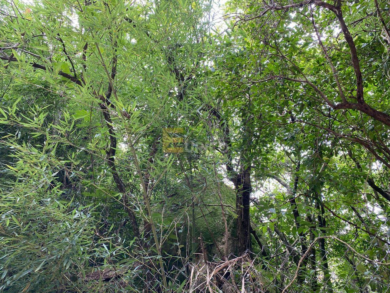 Terreno em Condomínio à venda no Condomínio Vale da Santa Fé em Vinhedo/SP: 