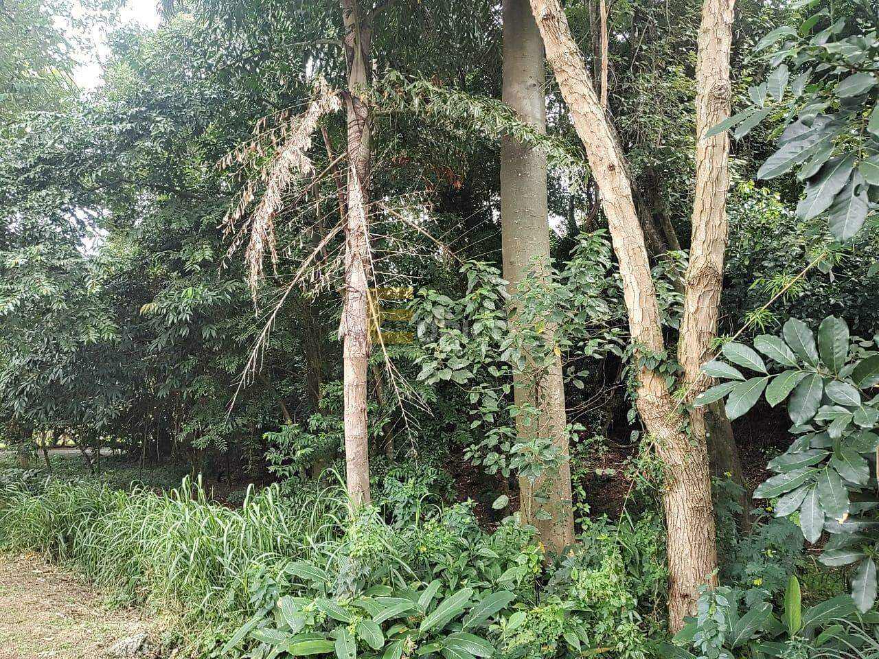 Terreno em Condomínio à venda no Condomínio São Joaquim em Vinhedo/SP: 