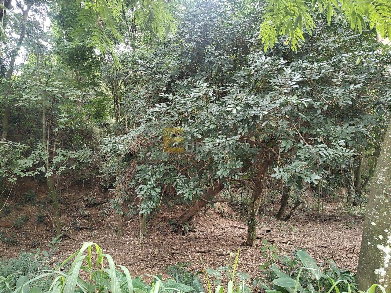 Terreno em Condomínio à venda no Condomínio São Joaquim em Vinhedo/SP: 