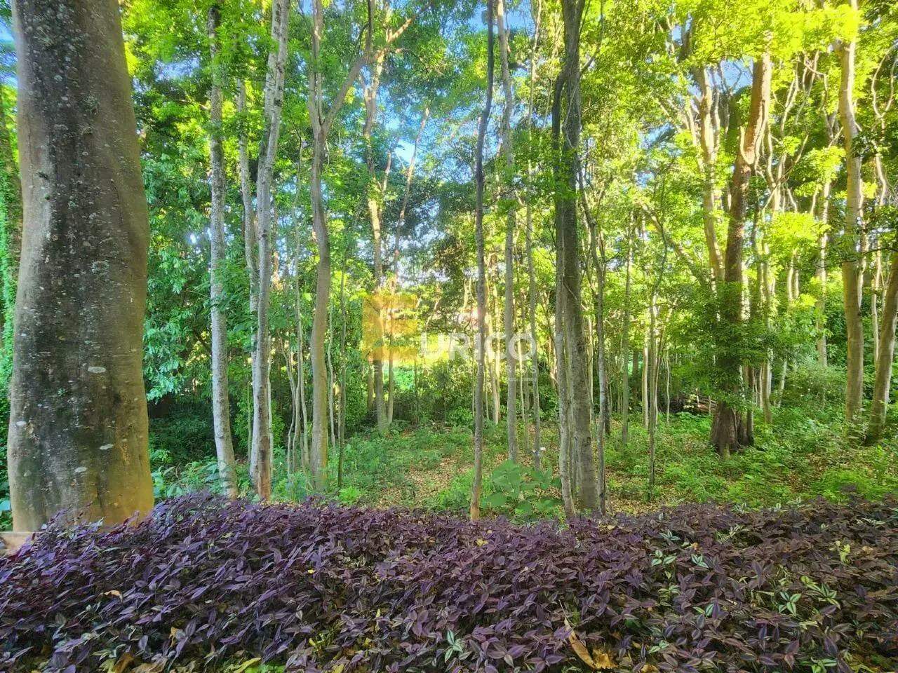 Terreno em Condomínio à venda no Condomínio Terras de Santa Teresa em Itupeva/SP: 