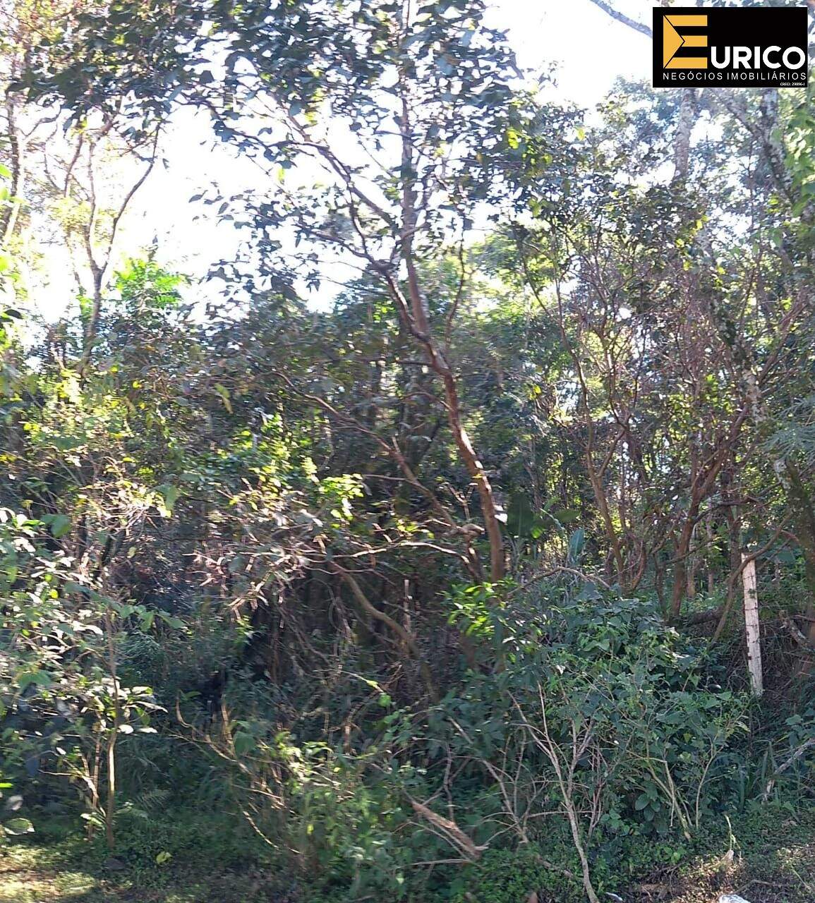 Terreno à venda no Altos do Morumbi em Vinhedo/SP: Foto 05