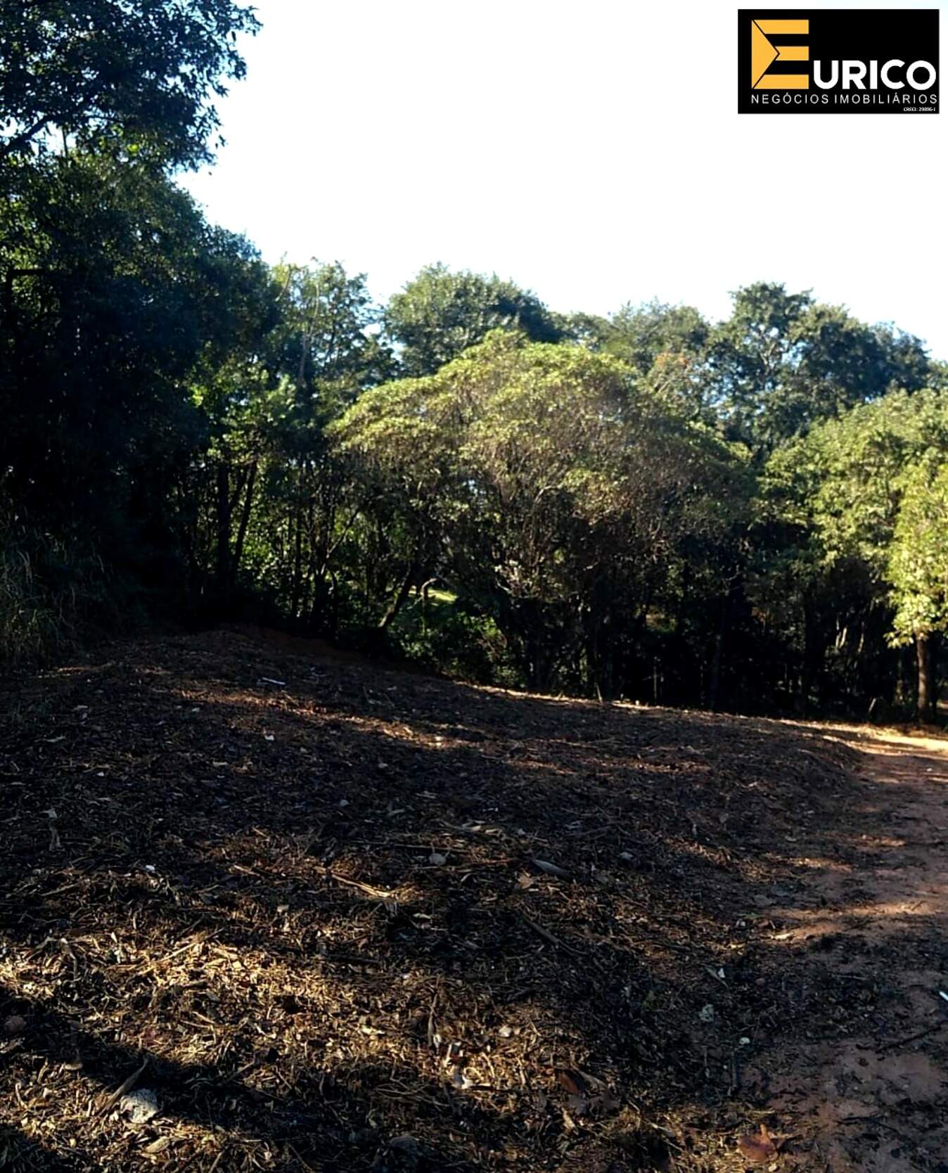 Terreno à venda no Altos do Morumbi em Vinhedo/SP: Foto 06