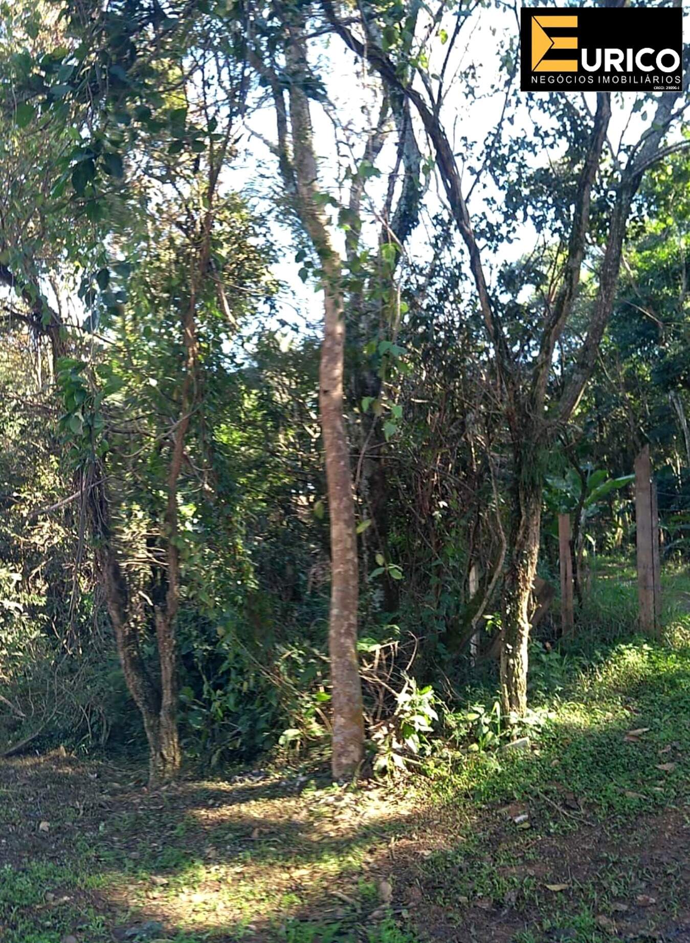 Terreno à venda no Altos do Morumbi em Vinhedo/SP: Foto 04
