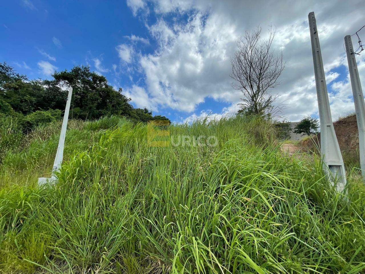 Terreno à venda no Vila Moletta em Valinhos/SP: 