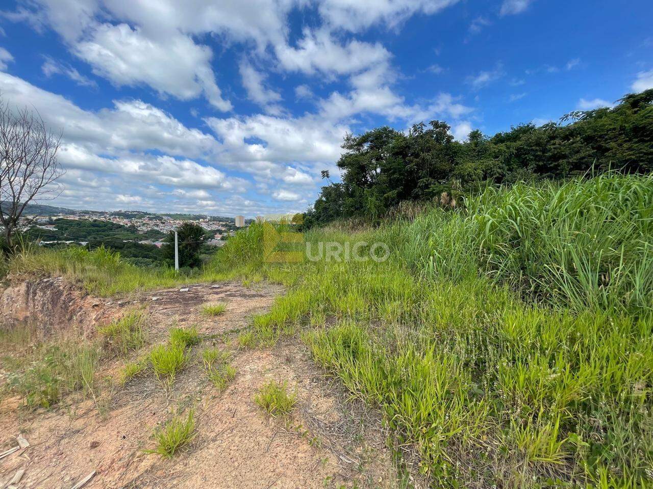 Terreno à venda no Vila Moletta em Valinhos/SP: