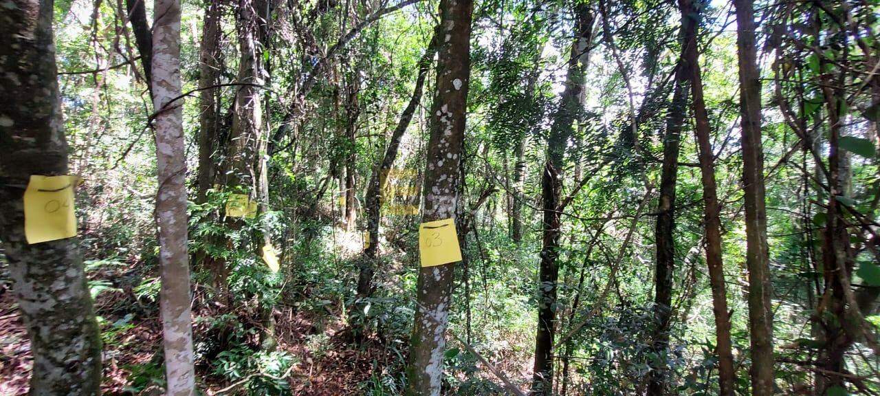 Terreno em Condomínio à venda no Condominínio Sausalito em Mairiporã/SP: 