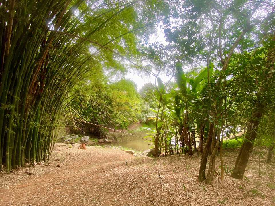 Terreno em Condomínio à venda no Condomínio Reserva da Mata em Jundiaí/SP: 