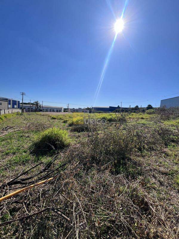 Terreno para aluguel no Vila Independência em Itupeva/SP: 