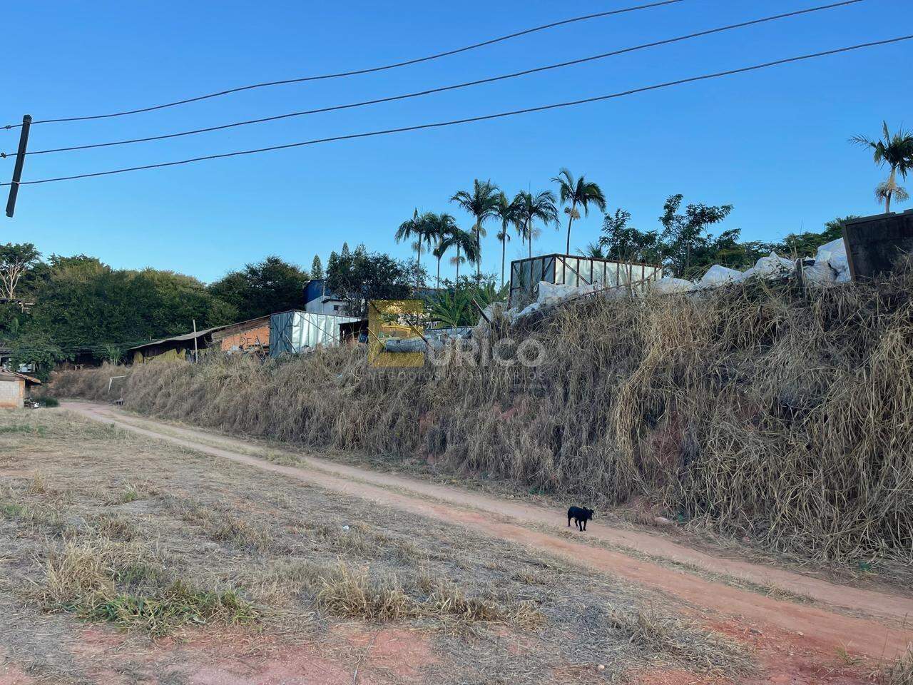 Terreno à venda no Pinheirinho em Vinhedo/SP: 