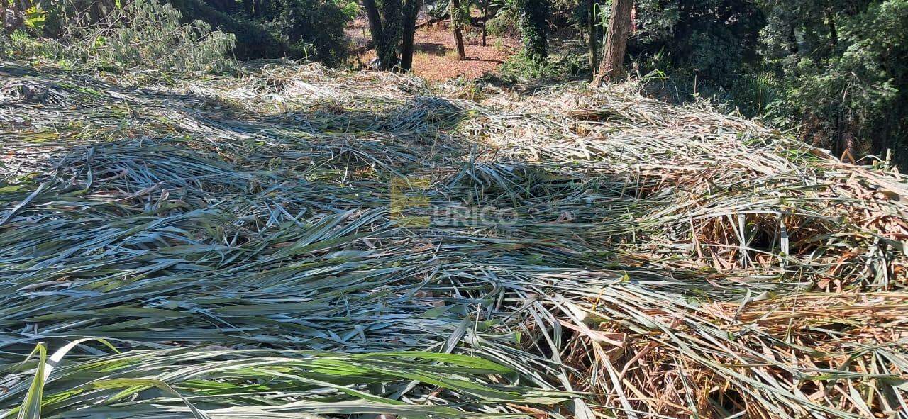 Terreno à venda no CHÁCARAS SÃO BENTO em Valinhos/SP: 