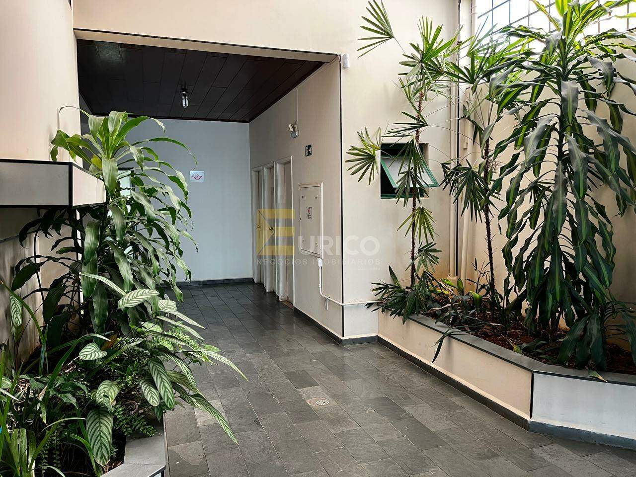 Sala para aluguel no VILA CLAYTON em Valinhos/SP: 