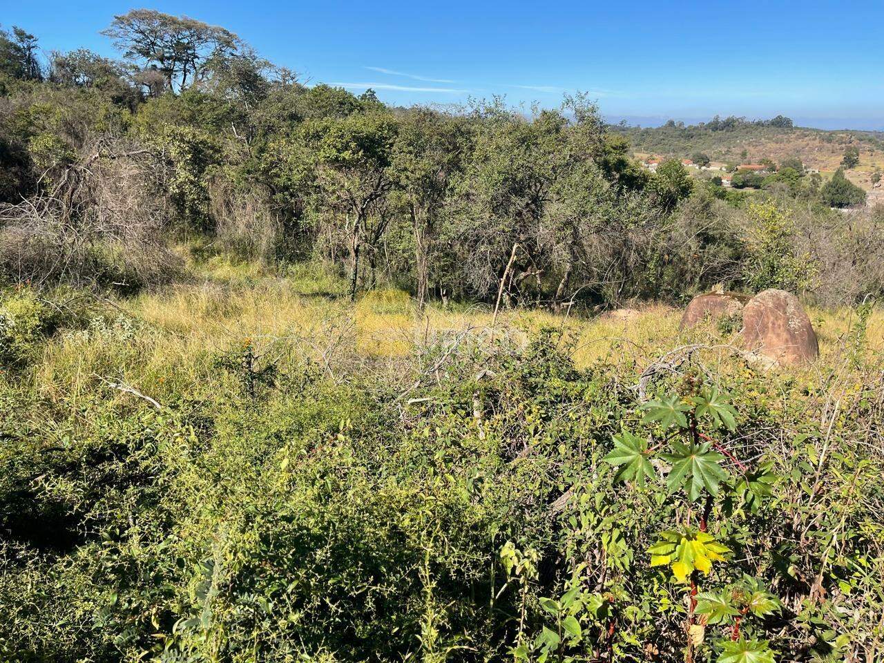 Terreno em Condomínio à venda no Condomínio Cisalpina Park em Valinhos/SP: 