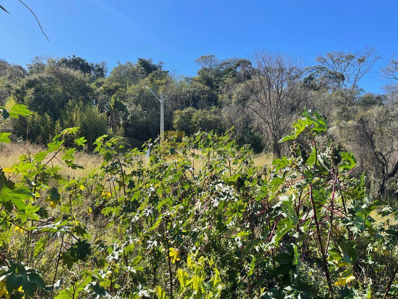 Terreno em Condomínio à venda no Condomínio Cisalpina Park em Valinhos/SP: 