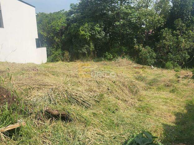 Terreno à venda no JARDIM ALTO DA COLINA em Valinhos/SP: 
