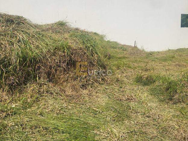 Terreno à venda no JARDIM ALTO DA COLINA em Valinhos/SP: 
