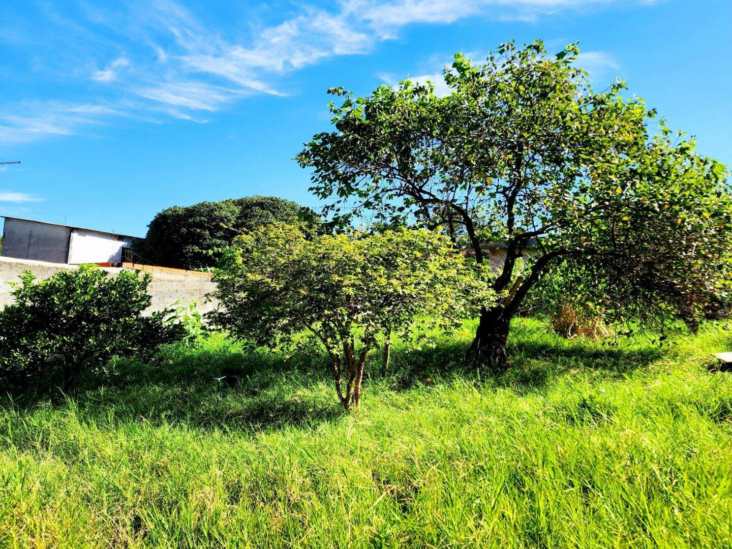 Chácara à venda no Jardim Marcelo Augusto em Sorocaba/SP: 