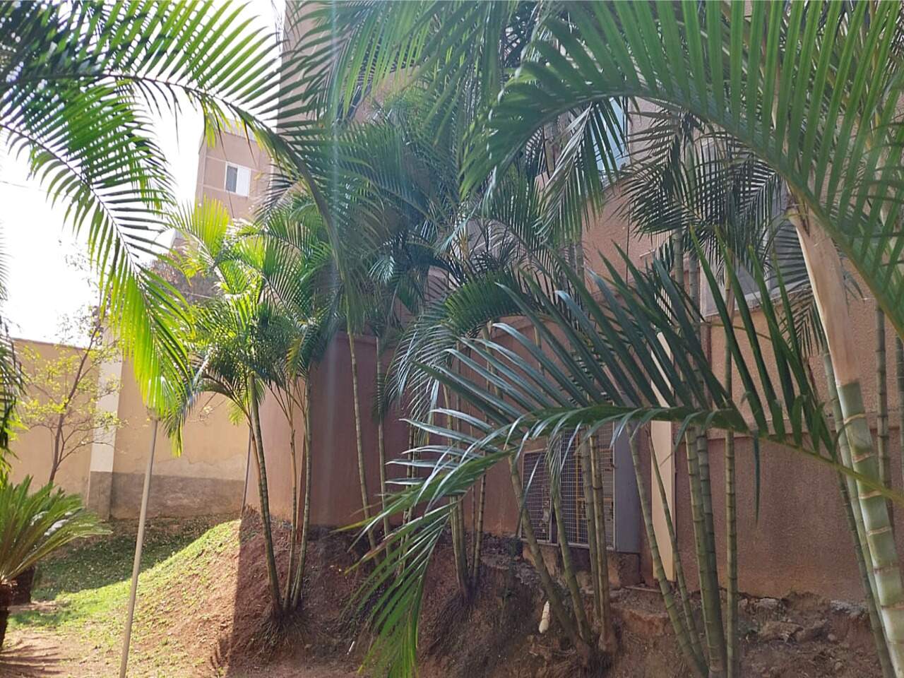 Apartamento à venda no Jardim Leocádia em Sorocaba/SP: 