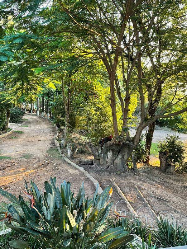 Chácara à venda no Joapiranga em Valinhos/SP: 