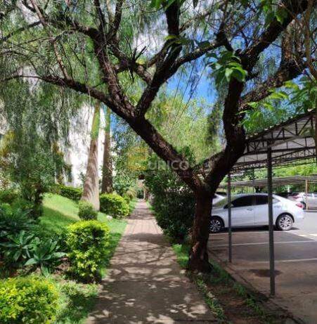 Apartamento à venda no Condomínio Residencial Alvorada I em Valinhos/SP: