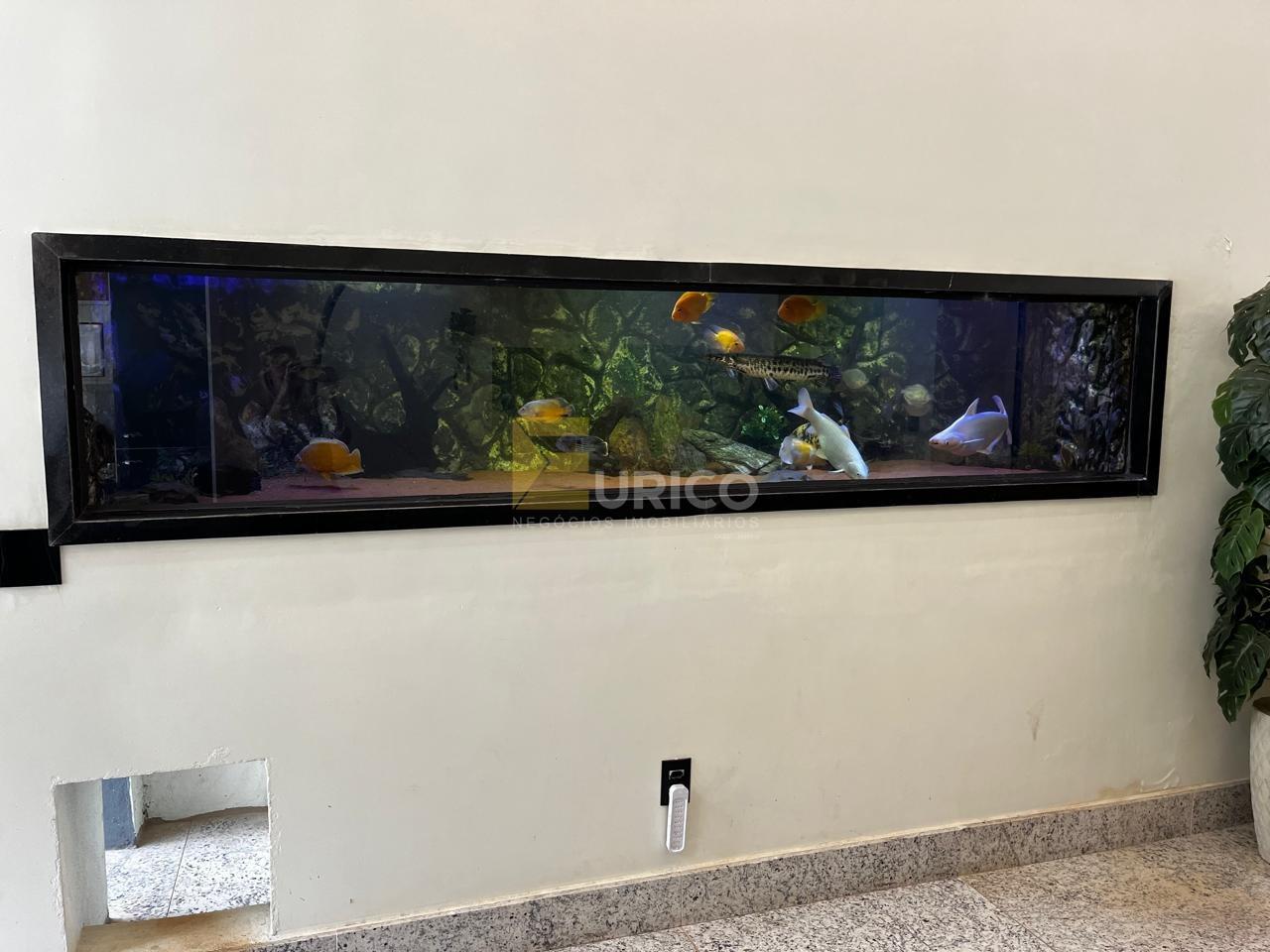 Casa em condomínio à venda no Condomínio Terras de Santa Teresa em Itupeva/SP: