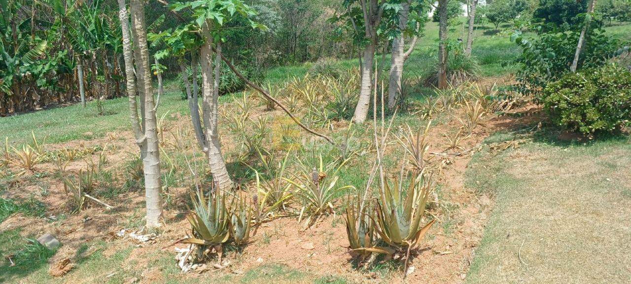 Casa em condomínio à venda no Condomínio Reserva Santa Monica em Itupeva/SP: 