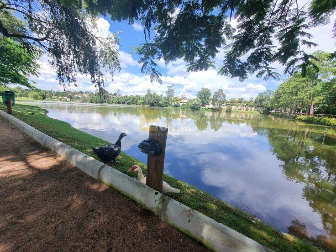 Casa em condomínio para aluguel no Condomínio São Joaquim em Vinhedo/SP: LAGO DO CONDOMINIO