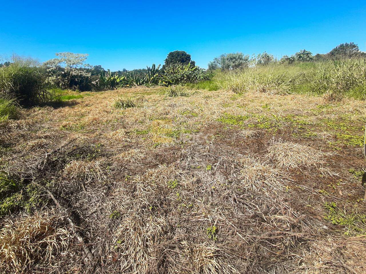 Terreno à venda no Residencial Jatobás em Vinhedo/SP: 