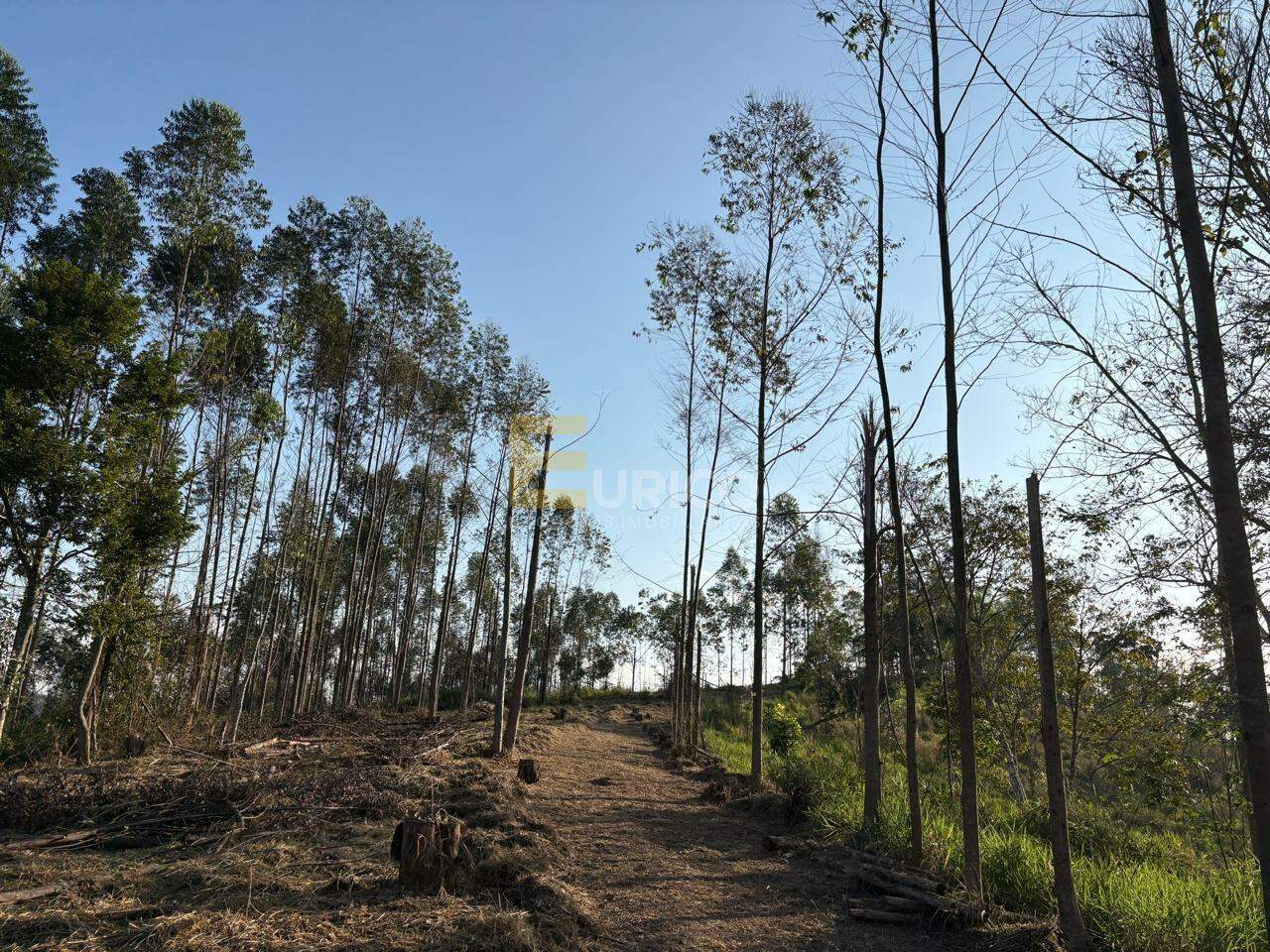 Terreno em Condomínio à venda no Santa Branca em São Paulo/SP: 