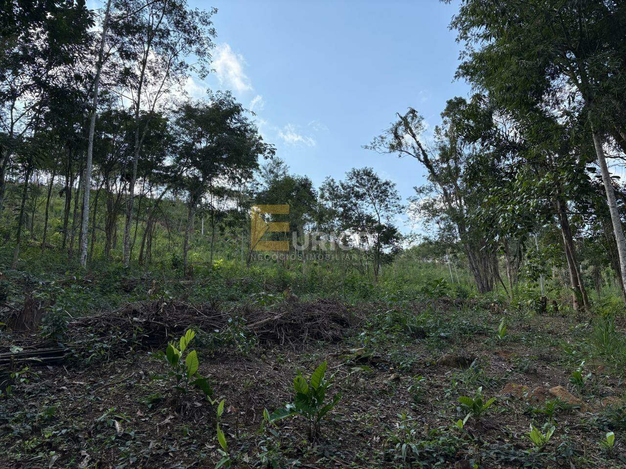 Terreno em Condomínio à venda no Santa Branca em São Paulo/SP: 