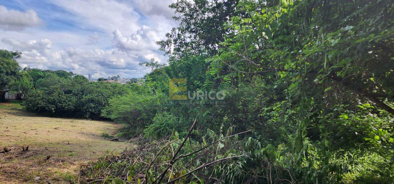 Terreno à venda no VILA CAPUAVA em Valinhos/SP: