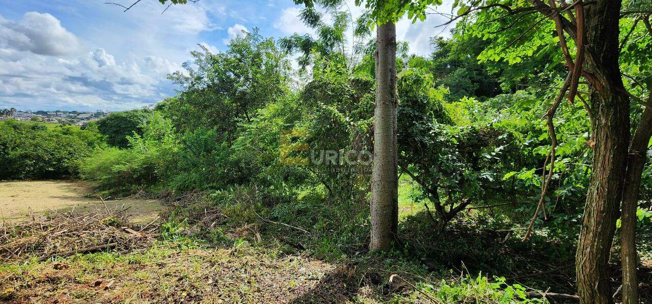 Terreno à venda no VILA CAPUAVA em Valinhos/SP: