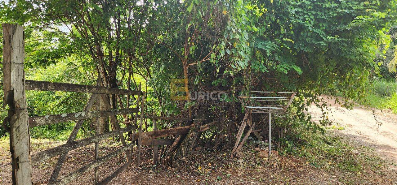 Terreno à venda no VILA CAPUAVA em Valinhos/SP: 