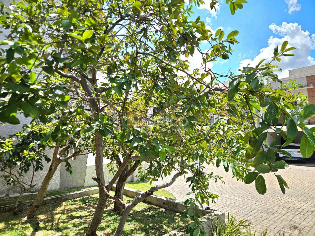 Casa em condomínio à venda no Condomínio Vila Di Mônaco em Valinhos/SP: 