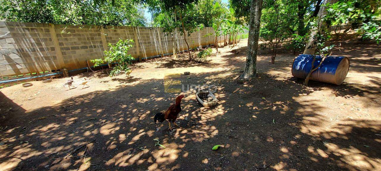 Chácara à venda no Joapiranga em Valinhos/SP: 