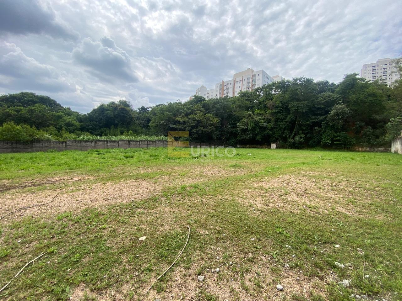 Terreno para aluguel no Parque Nova Suíça em Valinhos/SP: 