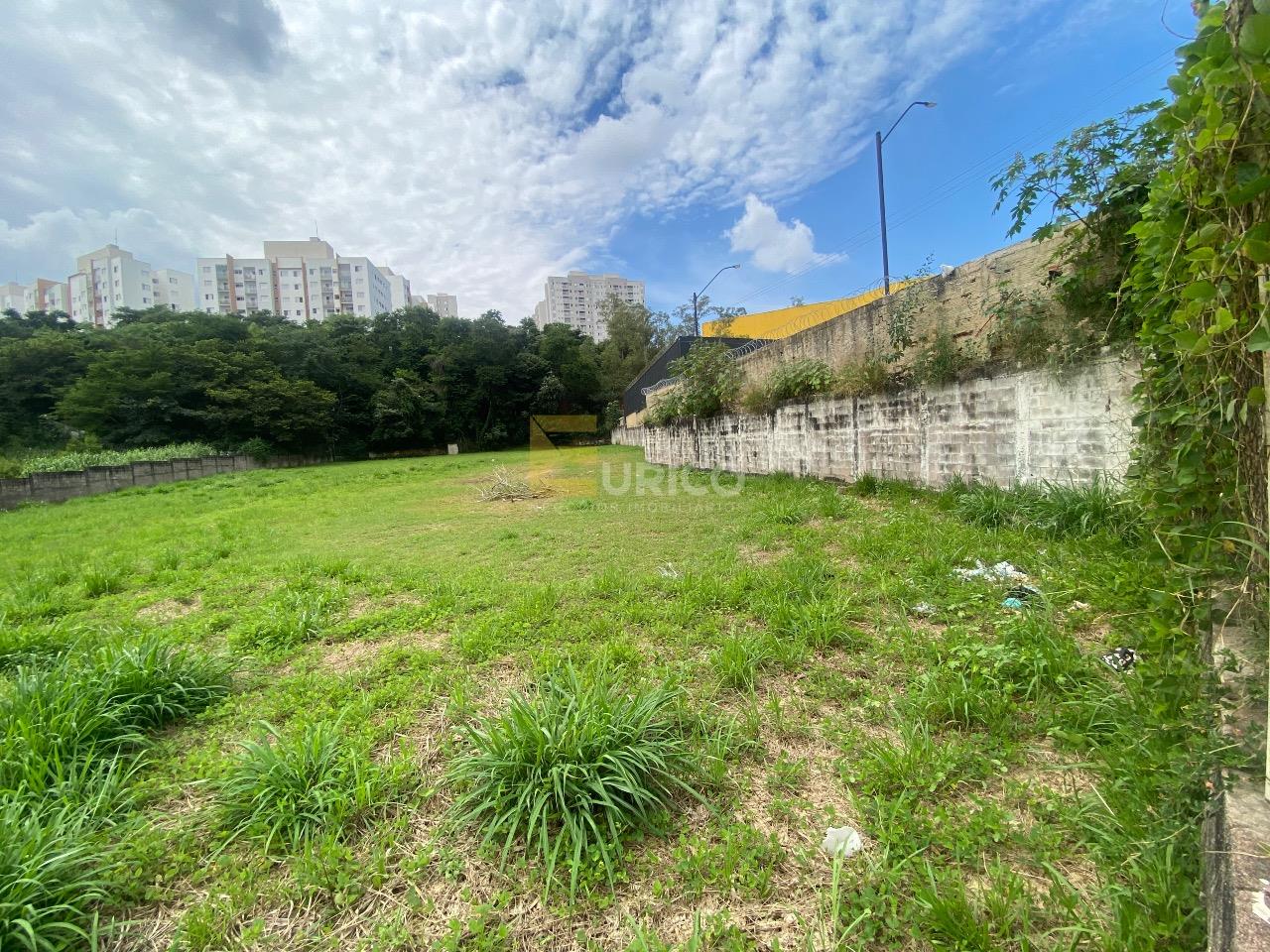 Terreno para aluguel no Parque Nova Suíça em Valinhos/SP: 
